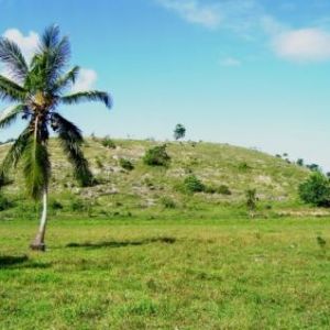 Sale land peninsule de samana ></noscript>
                                                        <span class=