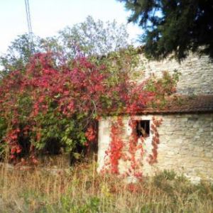 Sale farm drôme provençale ></noscript>
                                                        <span class=