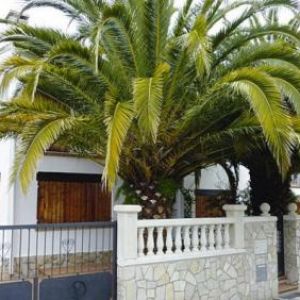 Rent house sant antoni de calonge ></noscript>
                                                        <span class=