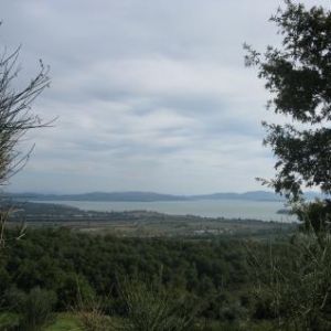 Sale apartment tuoro sul trasimeno firenze></noscript>
                                                        <span class=